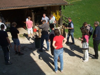 Obstbaumveredeln beim Scheibei.JPG